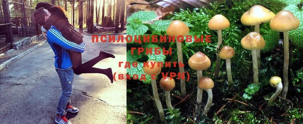 бошки Киреевск