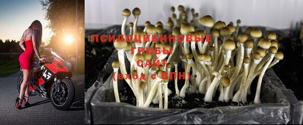 марихуана Киренск
